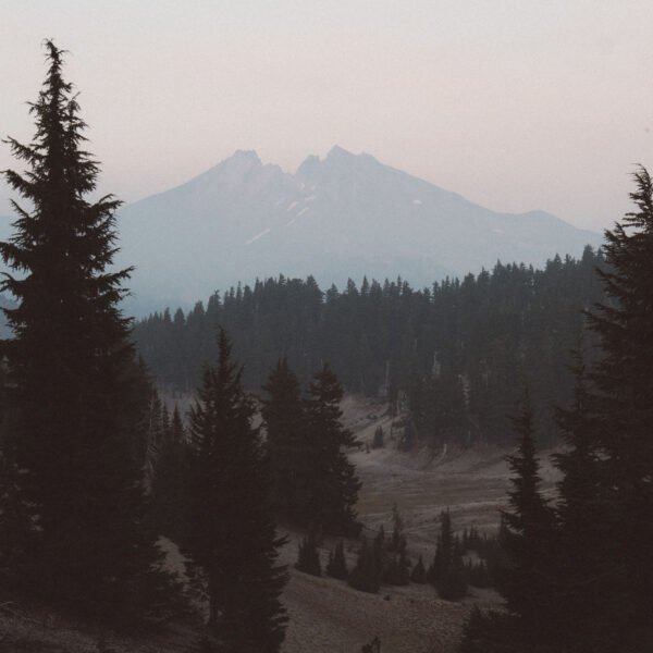 adrian-355860 adrian-355860