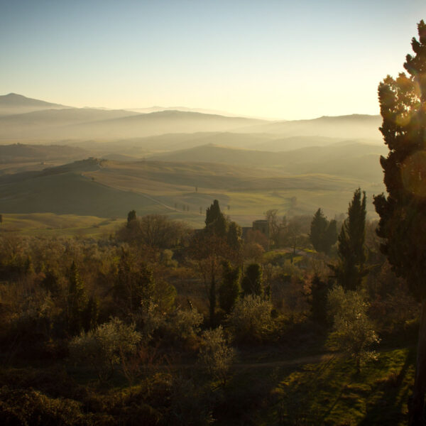 daniel-genser-70 daniel-genser-70